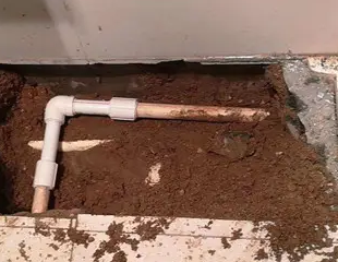 银州测漏水哪家好