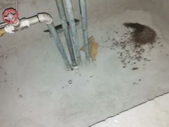 银州卫生间测漏水价格明细